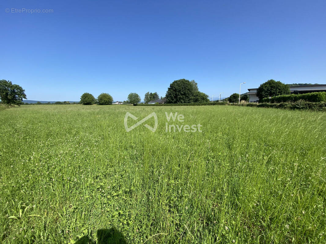 Terrain à ARROS-DE-NAY