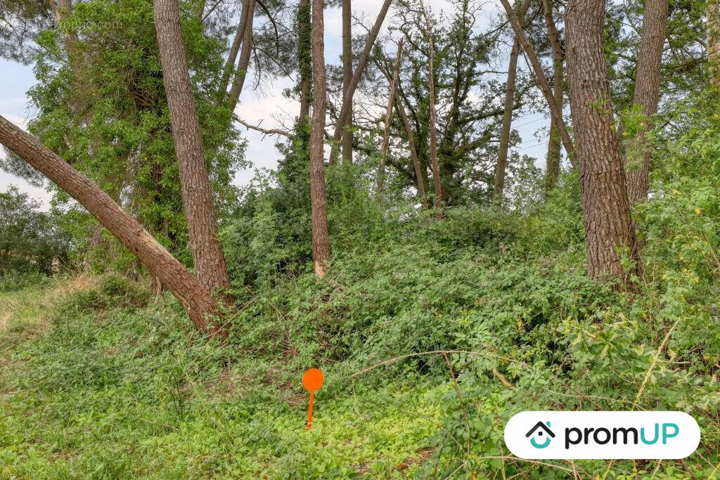 Terrain à SAINT-MARS-LA-BRIERE