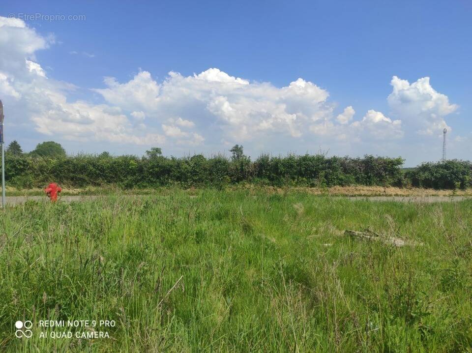 Terrain à CORNEVILLE-LA-FOUQUETIERE