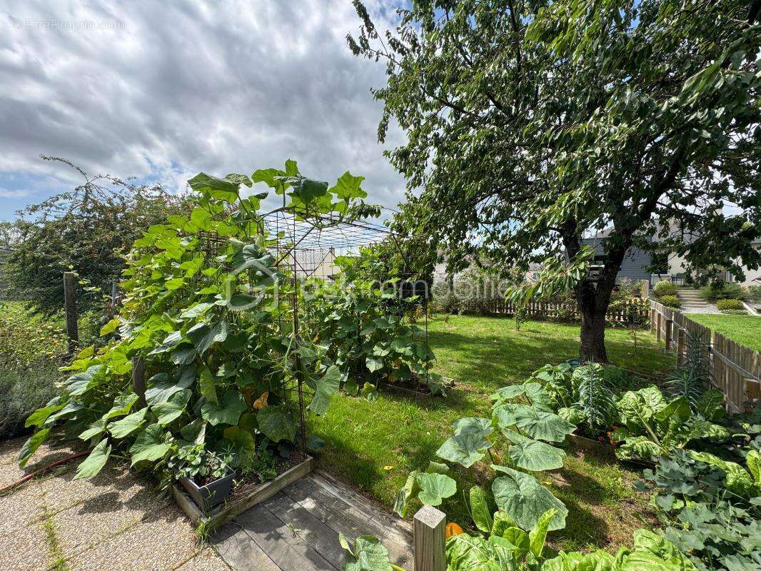 Maison à SAINT-PIERRE-LA-COUR