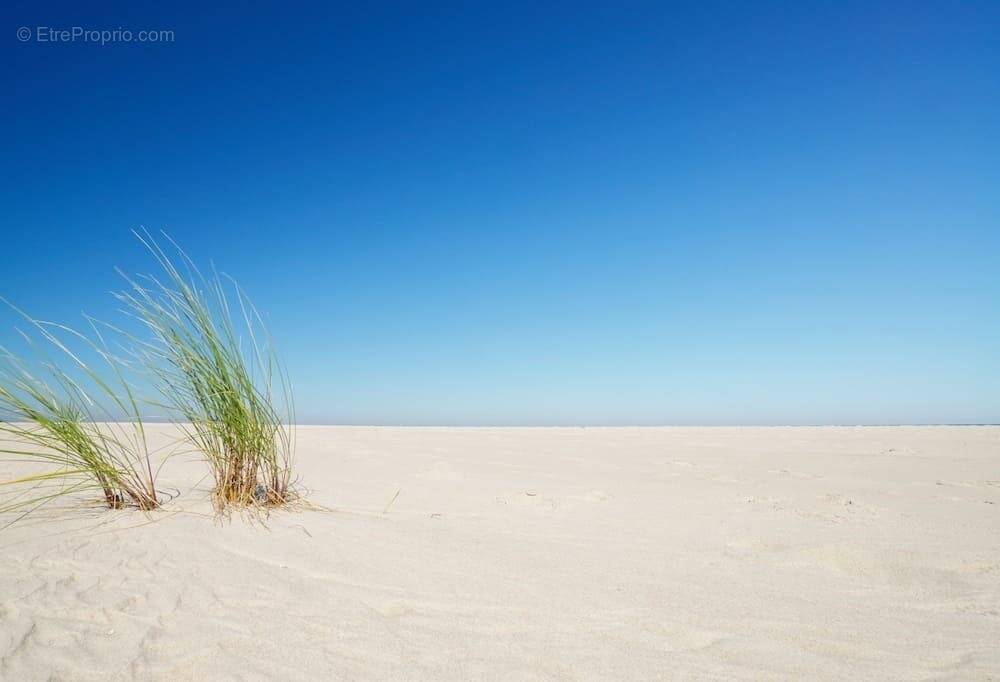 Terrain à SAINT-GILLES-CROIX-DE-VIE