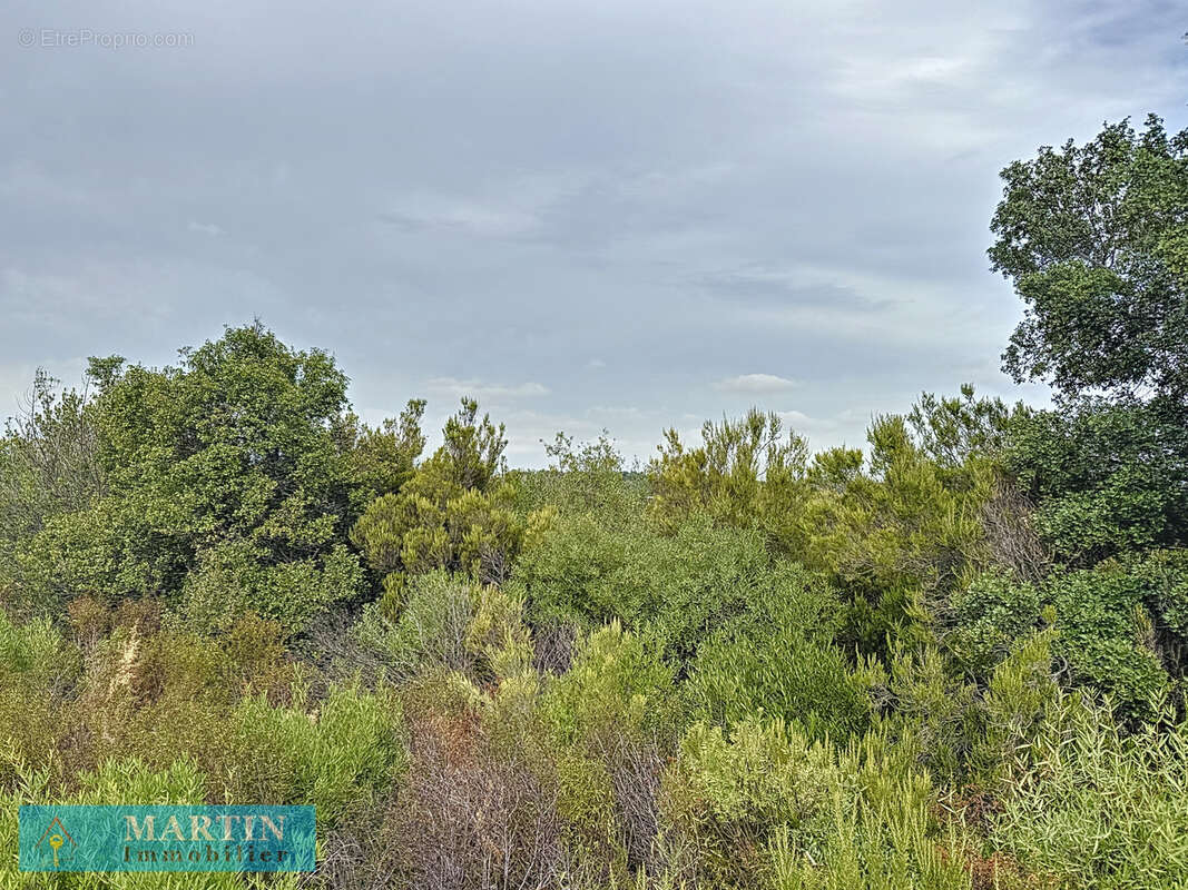 Terrain à LE BOULOU