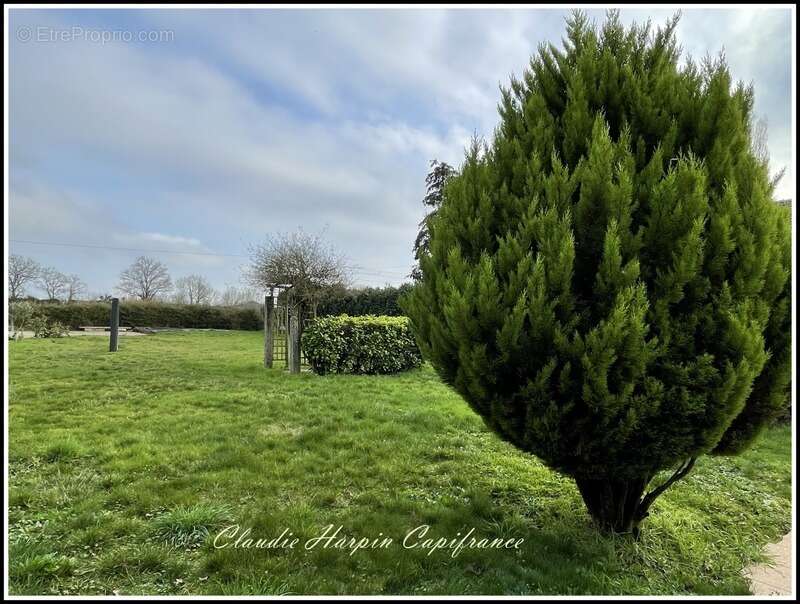 Dpt Deux Sèvres (79), à vendre PROPRIETE secteur POMPAIRE, maison et gîte  P9 - terrain d'environ 2495 m² - photo 18