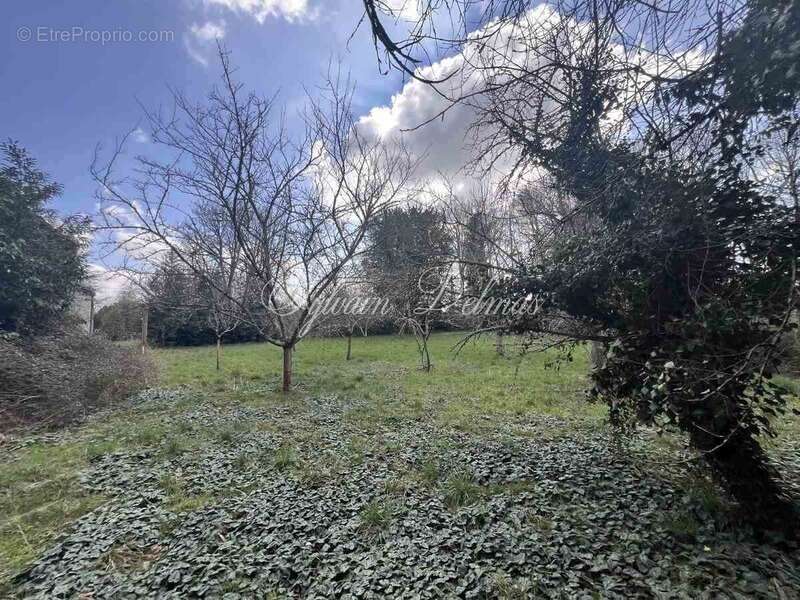 Maison à CHATILLON-SUR-INDRE
