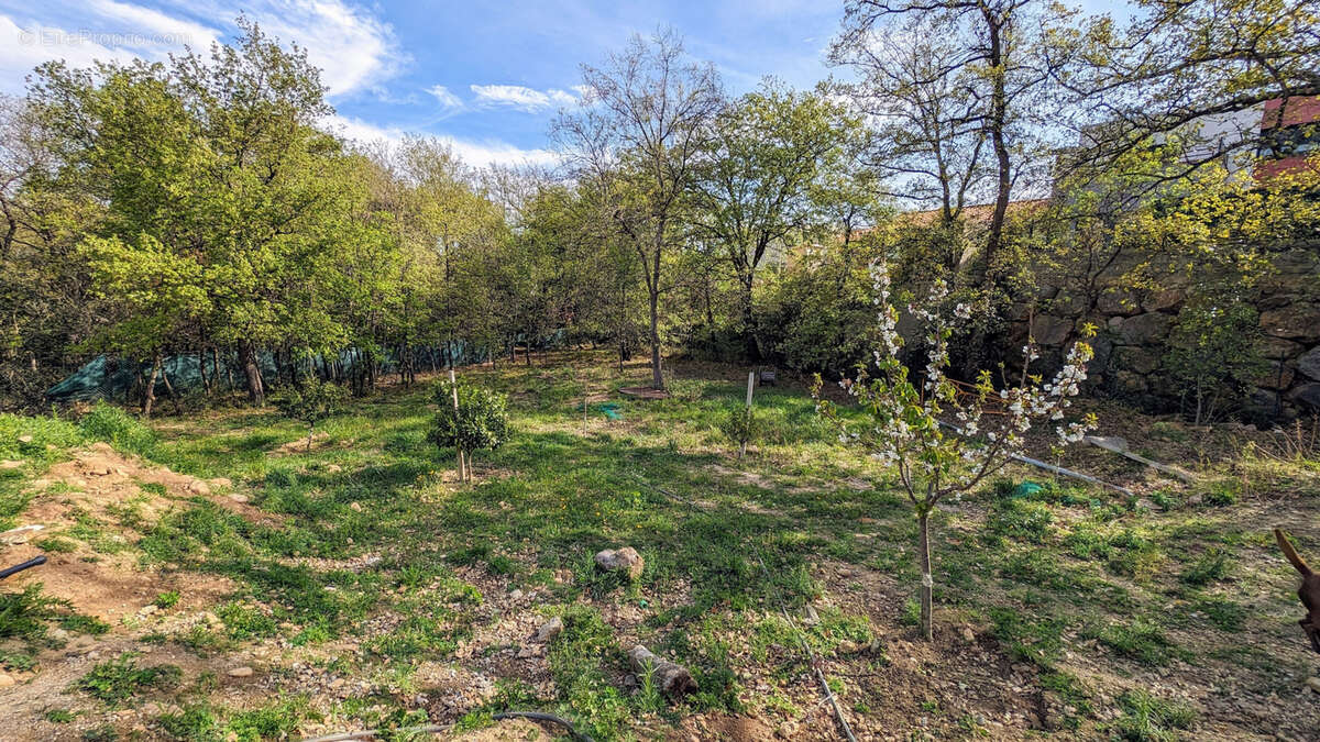 Maison à VILLELONGUE-DELS-MONTS