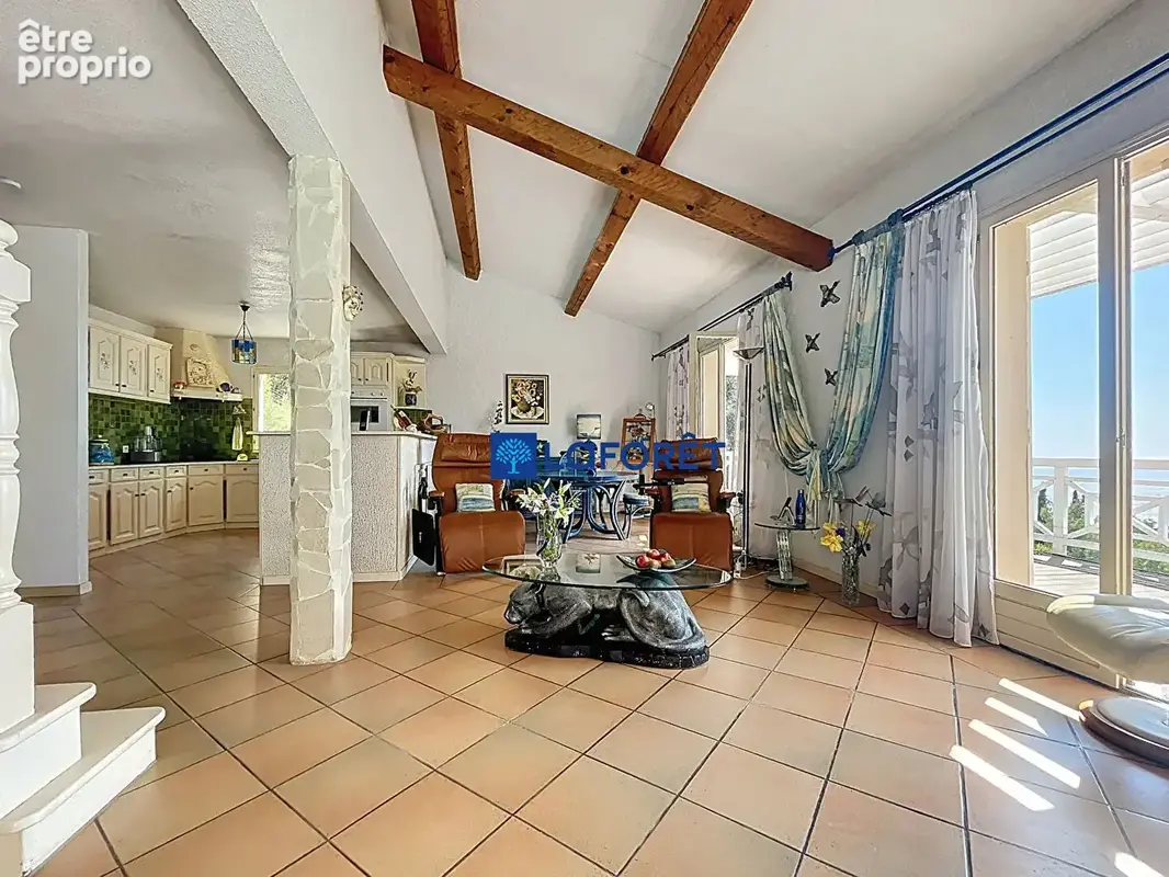 Carqueiranne - villa - photo 4