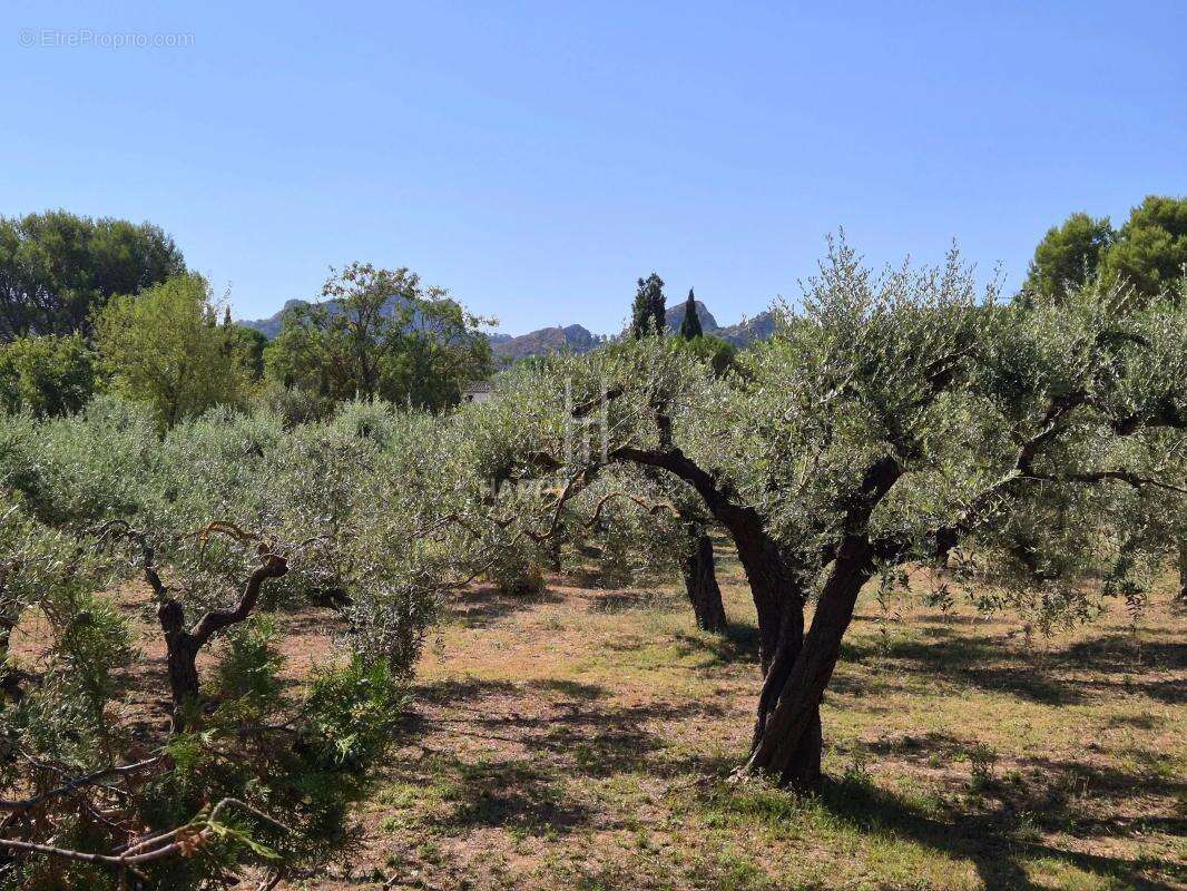 Maison St Rémy vue Alpilles - photo 6