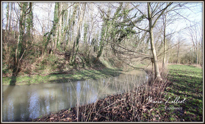 Maison à PITHIVIERS