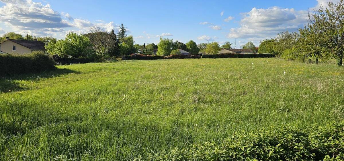 Terrain à VOEUIL-ET-GIGET
