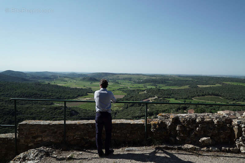 Propriete viticole bio AOP Faugères à vendre  ROQUESSELS (34) 9,8ha de vignes 28ha de landes caves 572m² - photo 4