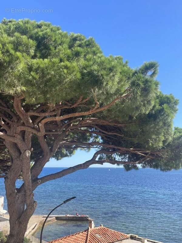 Appartement à SAINTE-MAXIME