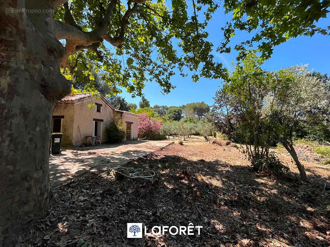 LE CASTELET ? Authentique Bastide du XVIIIe Siècle au Coeur des Vignes et des Oliviers terrain 6000 m² - photo 18
