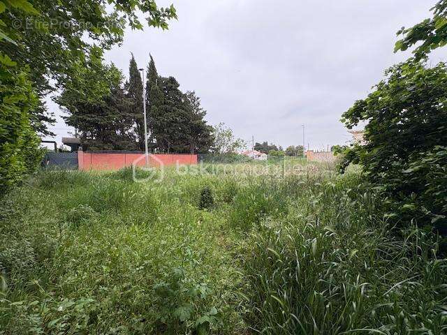 Terrain constructible 569 m2 - photo 8