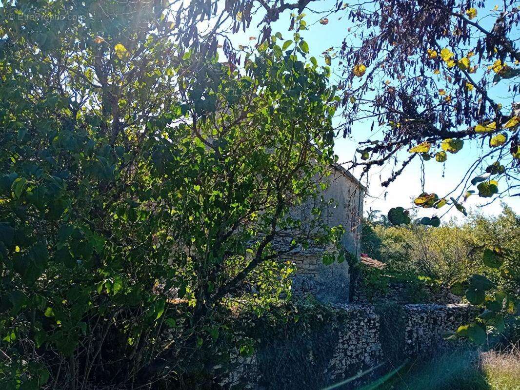 Maison à SAINT-JEAN-DE-LAUR