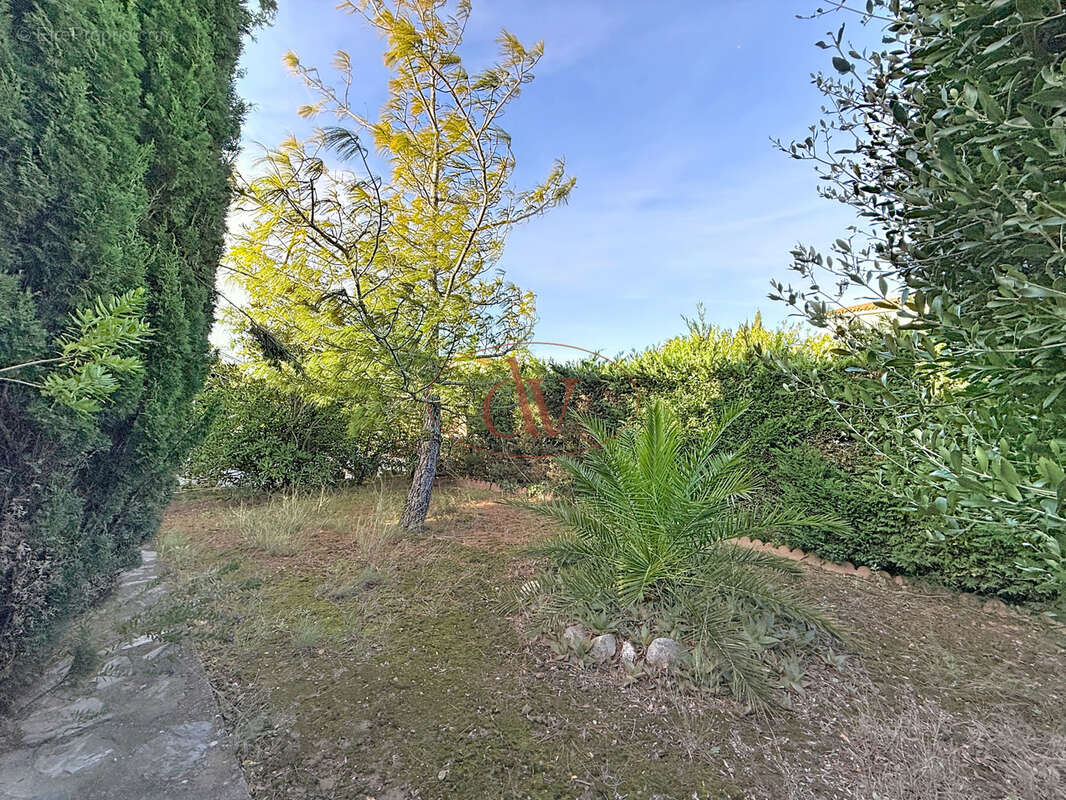 Maison à CABESTANY