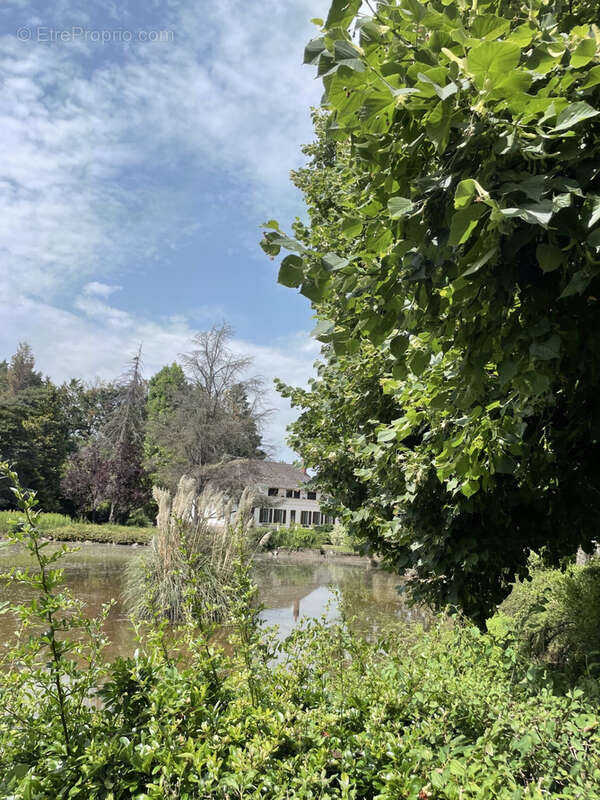 Rare à la vente - Ancien moulin et son domaine arboré avec étang proche de la forêt de Tronçais (03). - photo 11