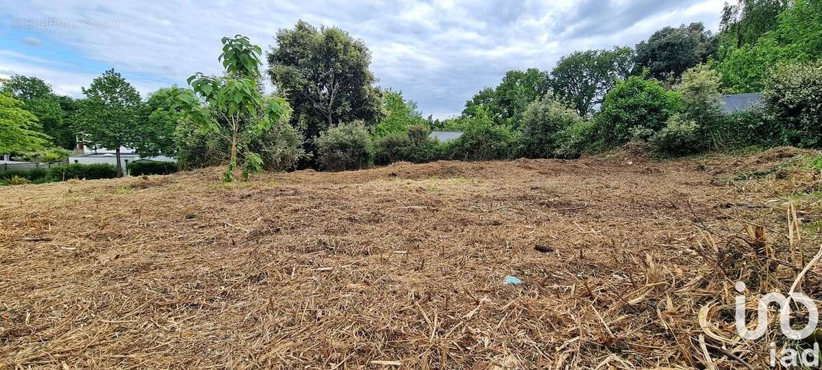 Photo 4 - Terrain à BADEN