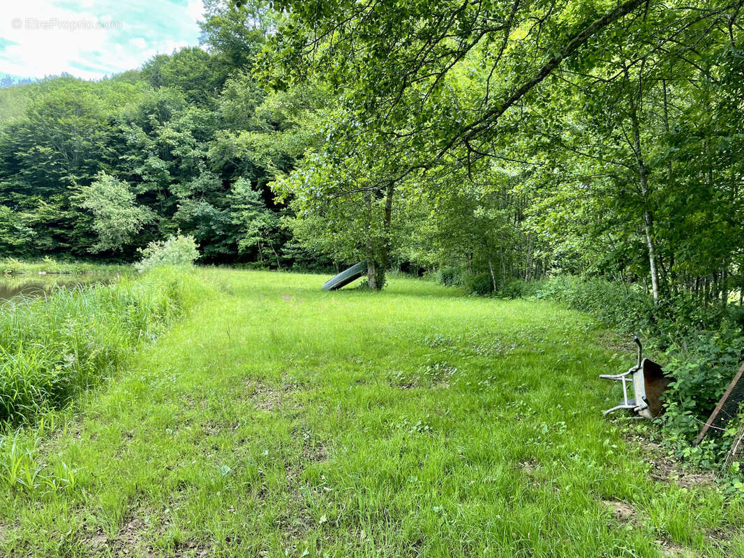 Terrain à LOMONT