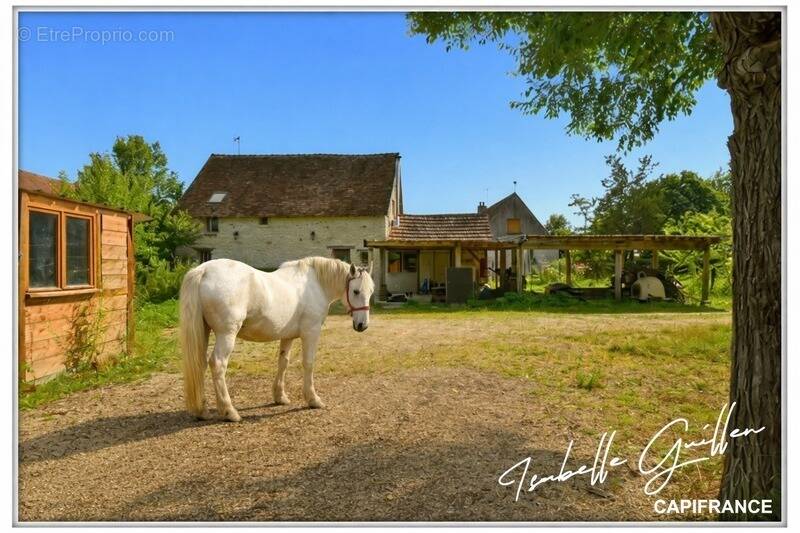 Maison à TOUCHAY