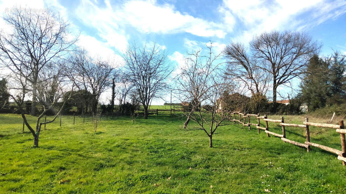 JARDIN - Maison à CHENON