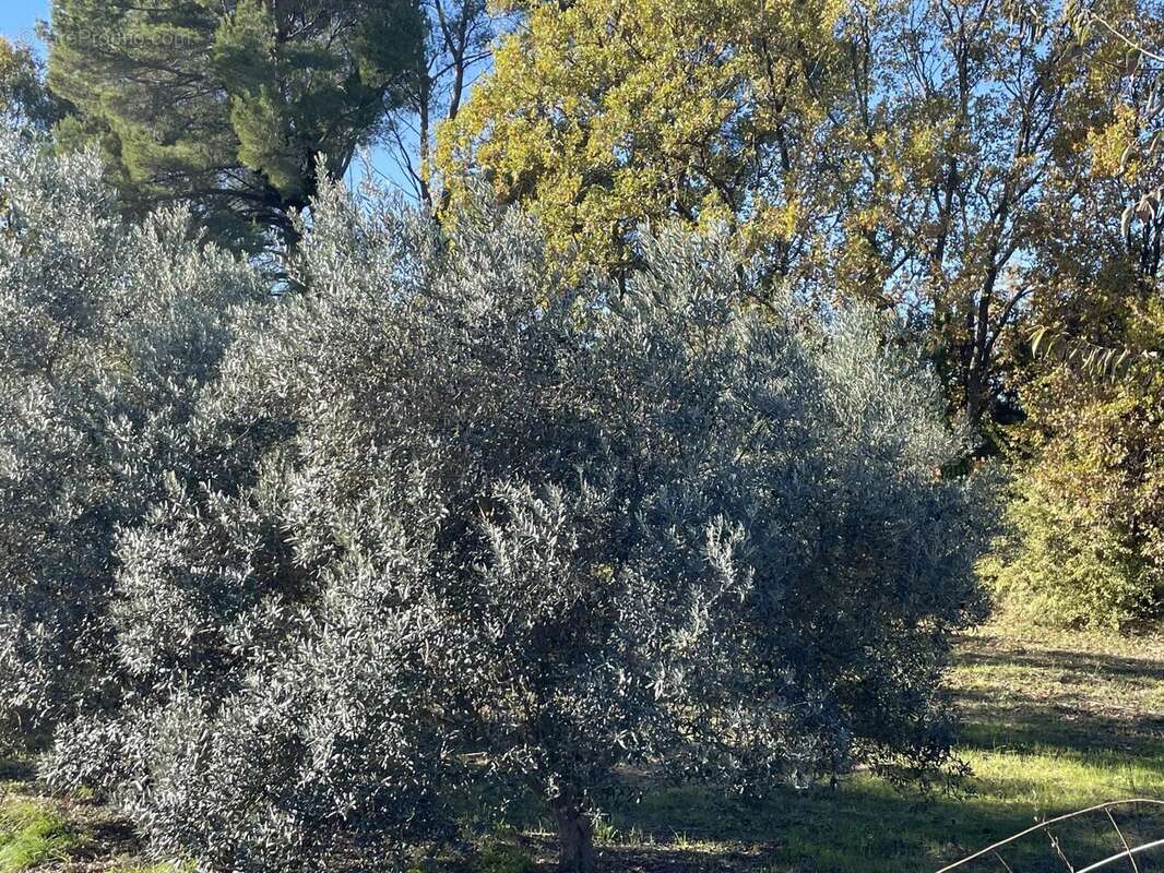 Terrain à LORGUES
