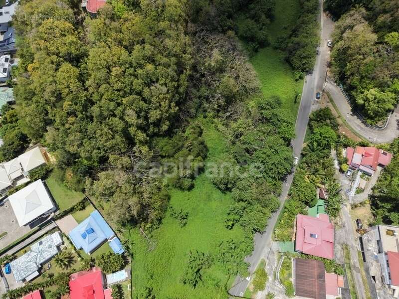 Terrain à LES ABYMES