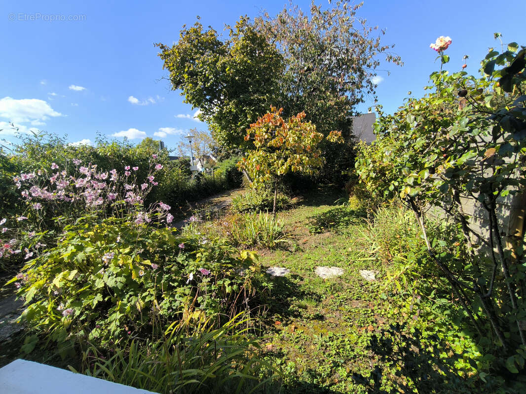 Maison à BALLAN-MIRE