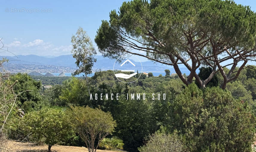 Maison à ANTIBES