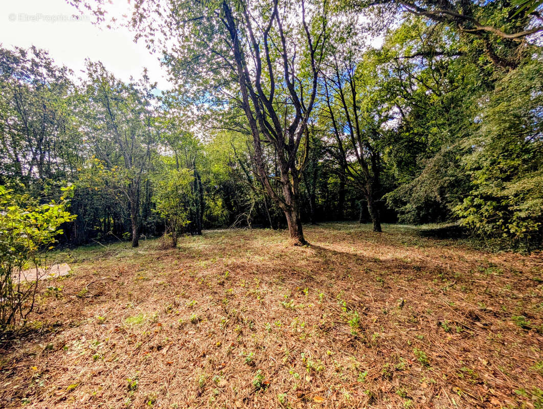 Maison à SAINT-MALO-DE-BEIGNON