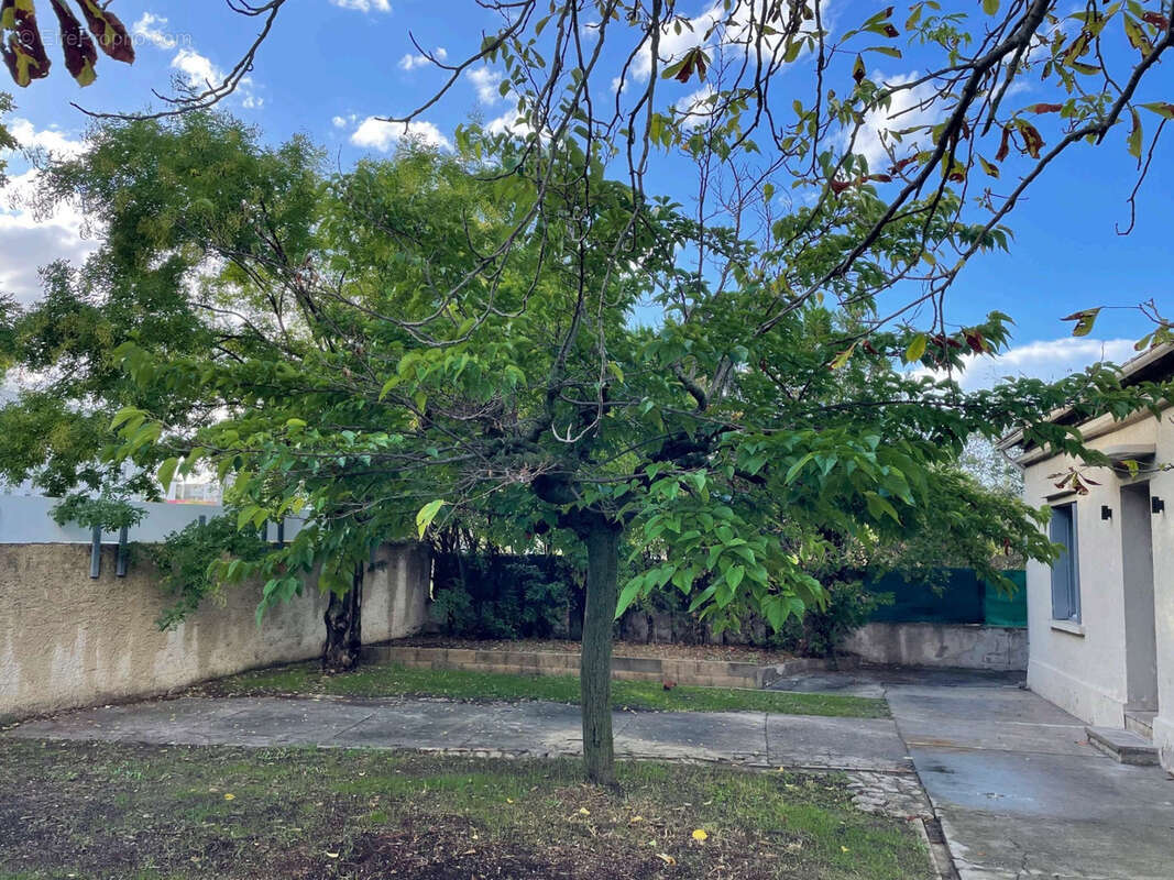 Maison à MONTPELLIER