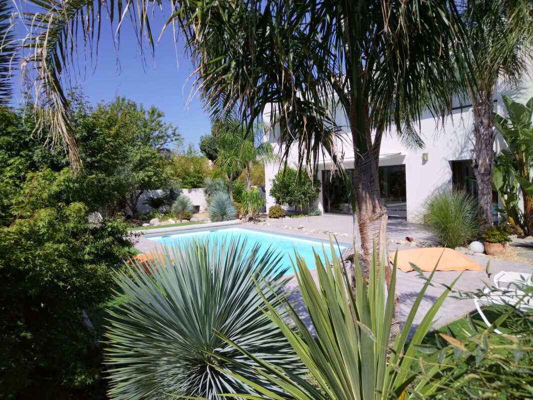 PERPIGNAN SUD : villa contemporaine 6 pièces avec piscine - photo 17