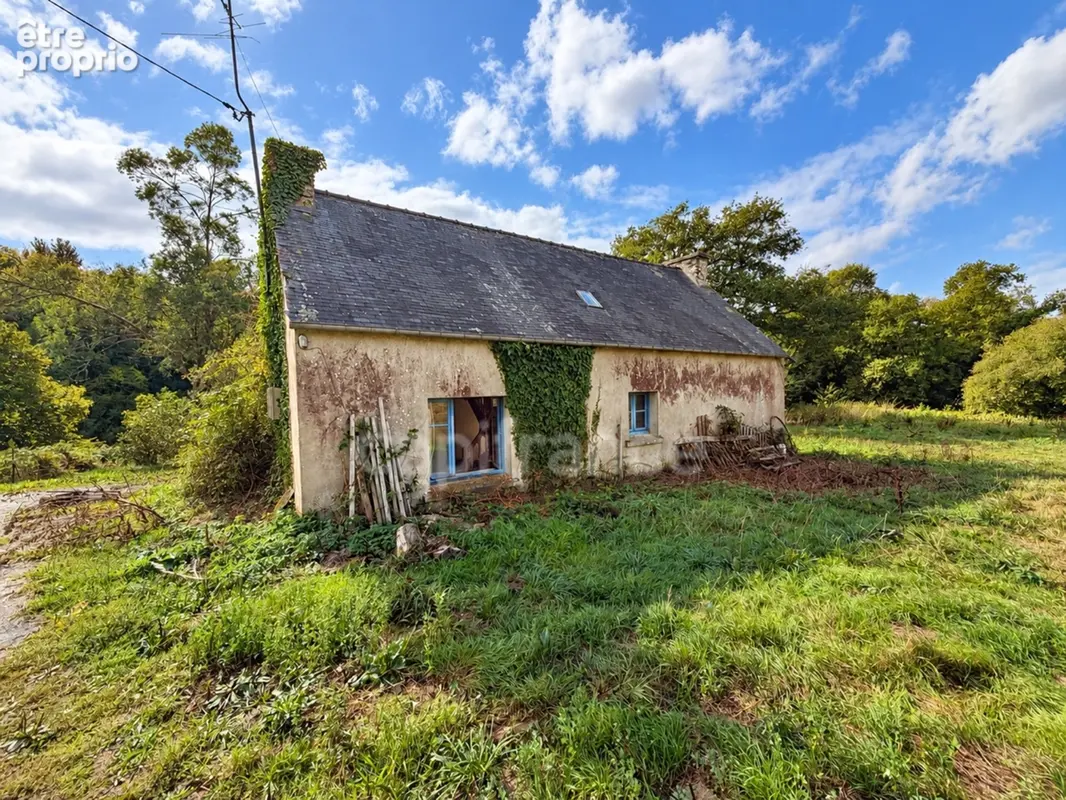 EXCLUSIVITÉ - TREBRIVAN - Maison avec terrain de plus de 2 hectares et dépendances à vendre 5 pièces  (22) - photo 2