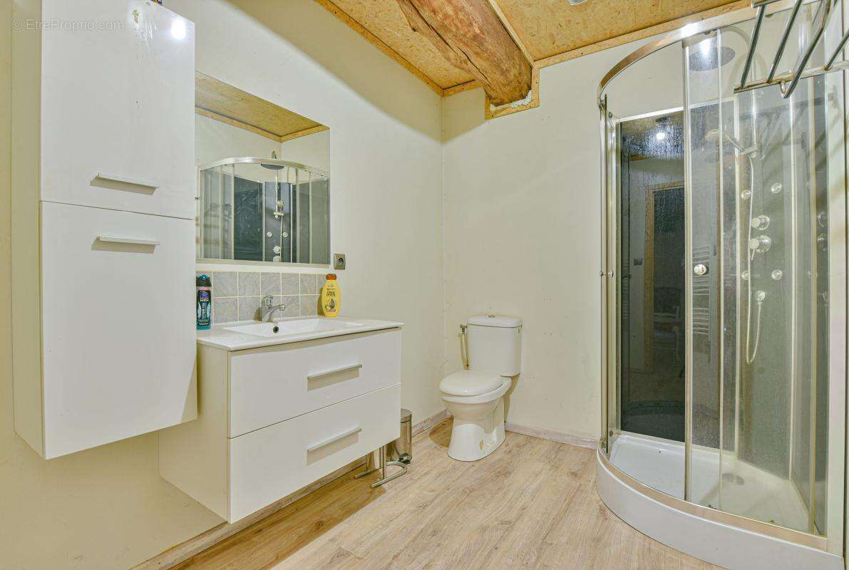 Maison 220 m² à Champagnac-La-Riviere  - photo 14