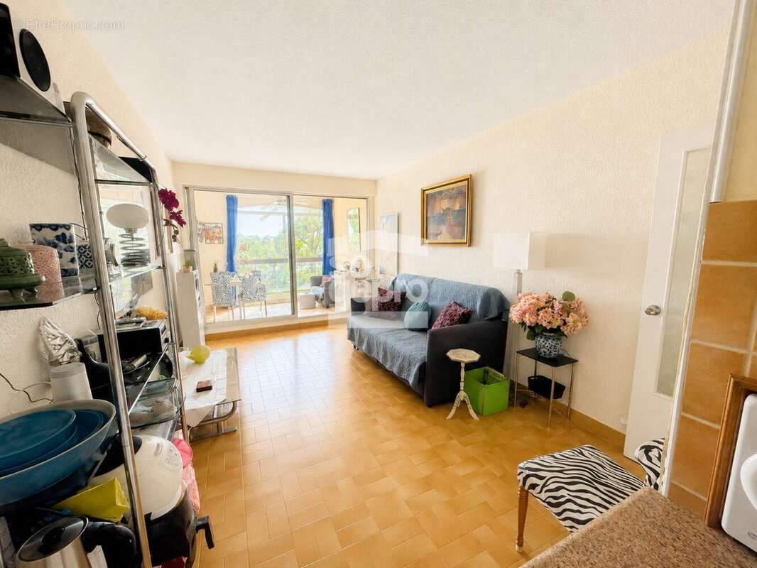 Réf : 2066 - Vente Grand Appartement traversant 3 Pièces dans résidence avec piscine et ascenseur ! - photo 6
