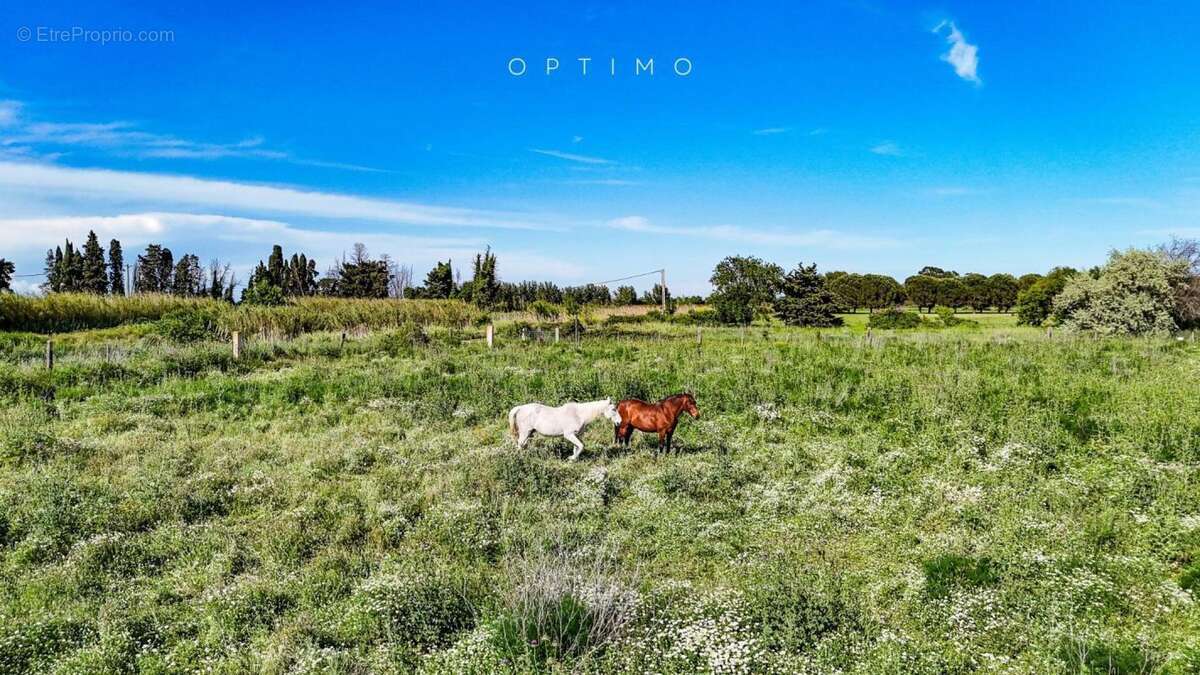 Terrain à SAINT-CYPRIEN