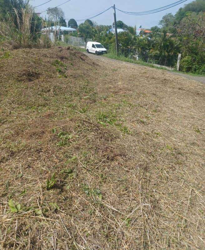 Terrain à LE FRANCOIS