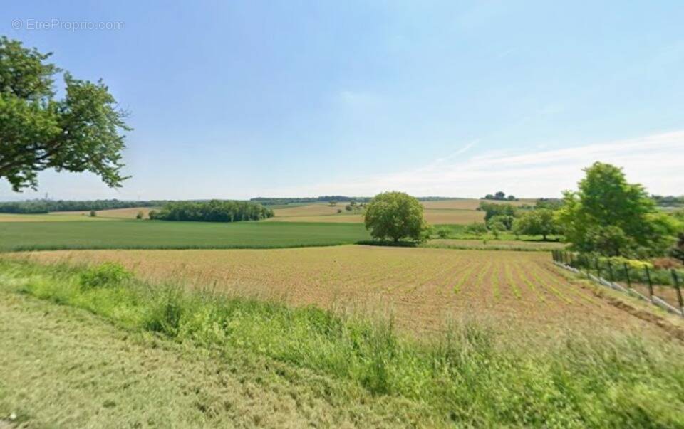 Terrain à HEIMSBRUNN