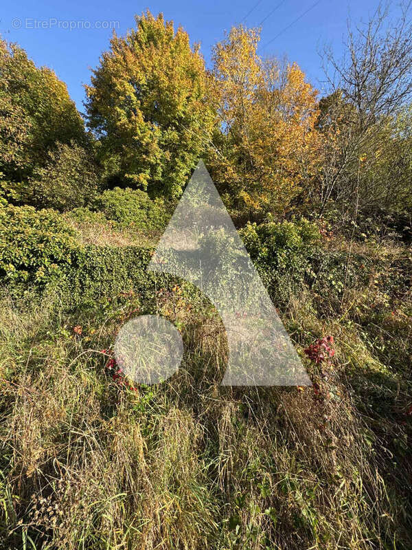 Maison à HARREVILLE-LES-CHANTEURS