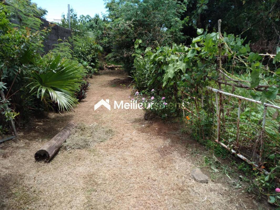 Terrain à SAINTE-MARIE