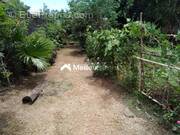 Terrain à SAINTE-MARIE