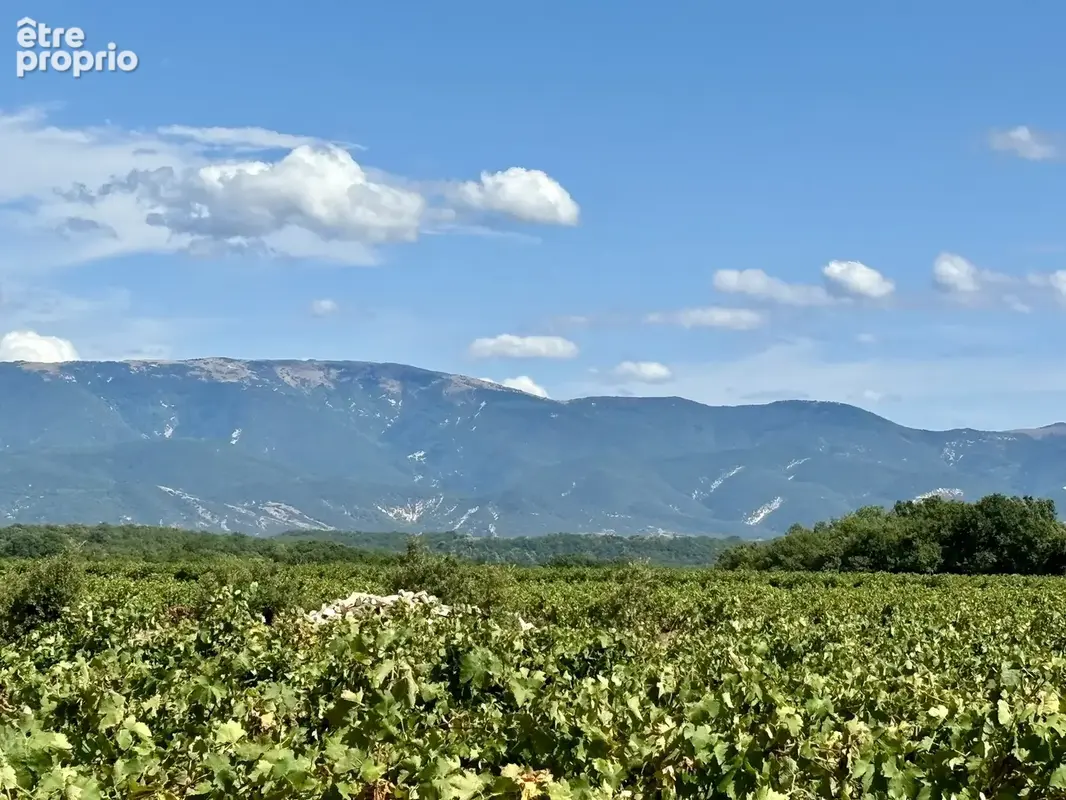 Exceptionnel!  a grignan , superbe mas en pierres avec piscine. - photo 40