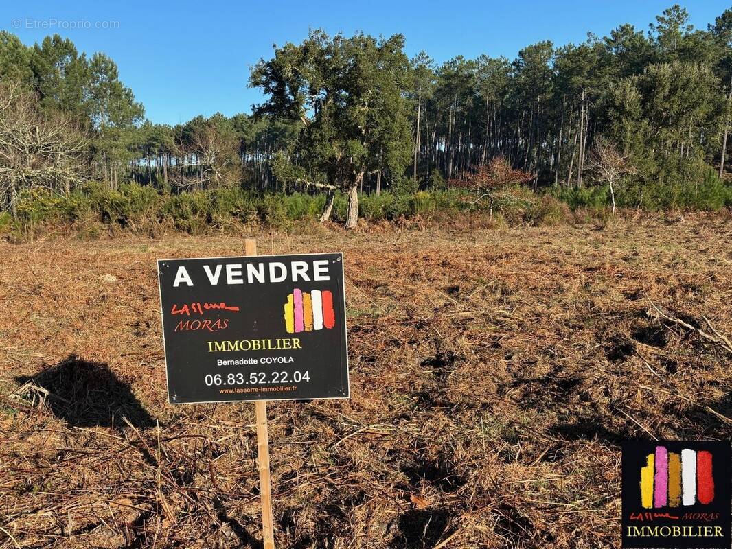 Terrain à MOLIETS-ET-MAA