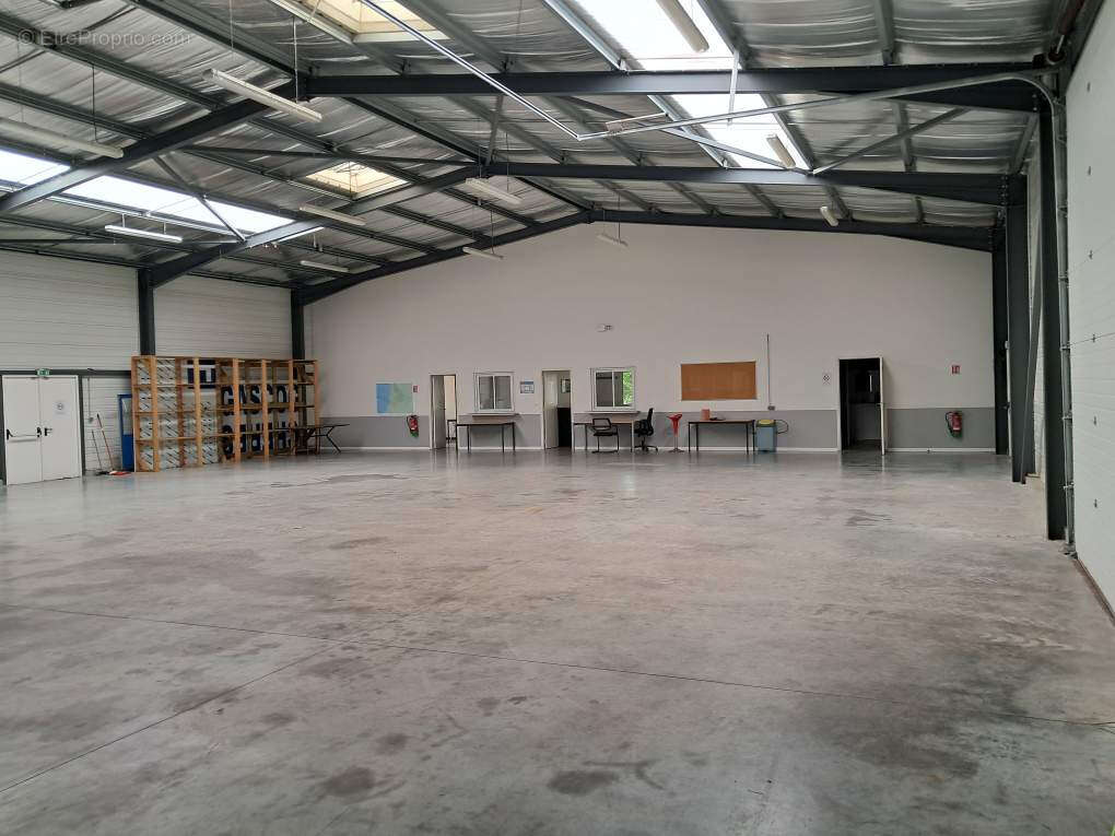 Commerce à ESCOURCE