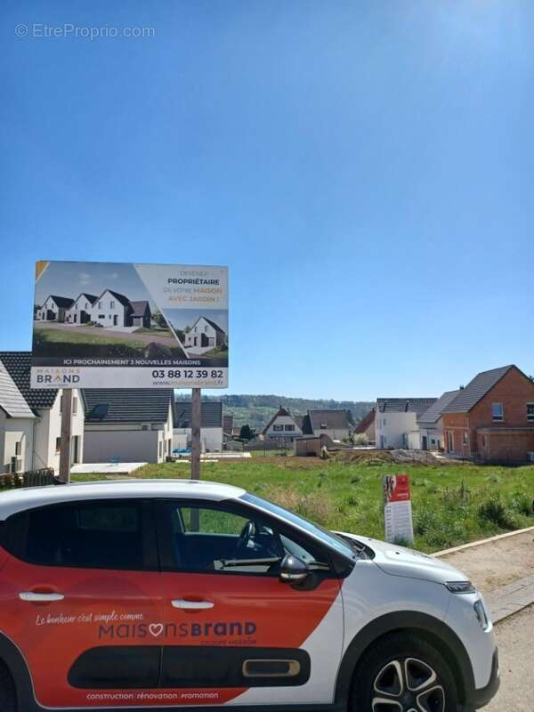 Terrain à SCHWINDRATZHEIM