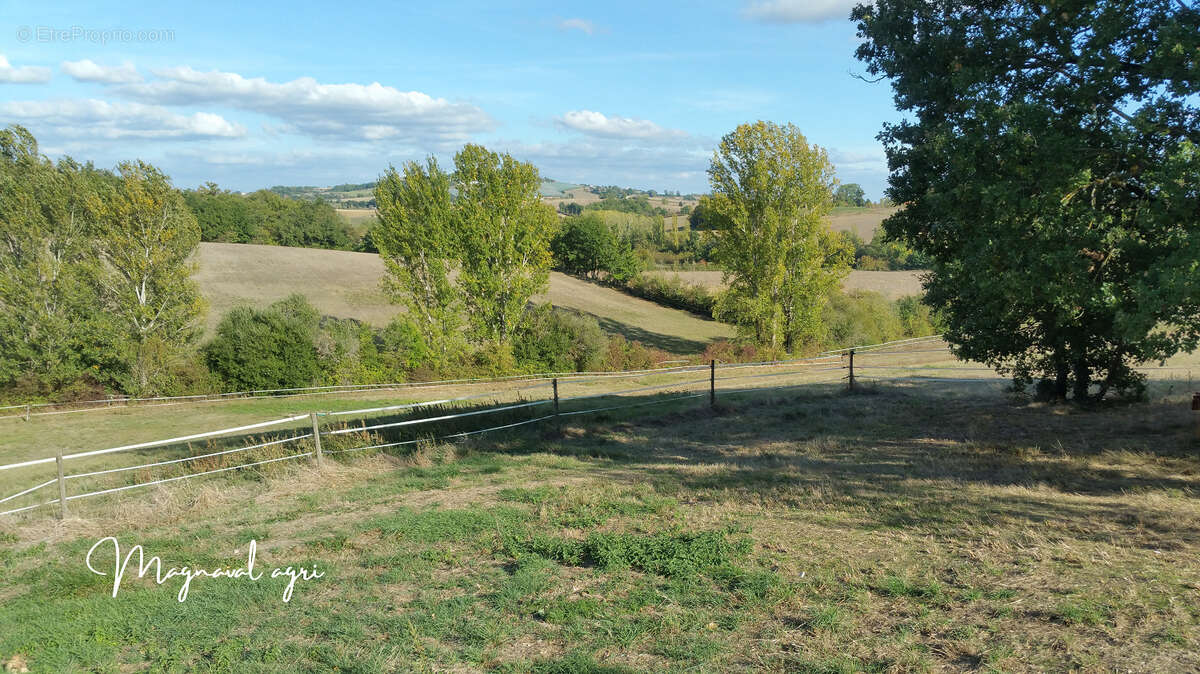 Domaine équestre ou agricole de 30 hectares en Occitanie - photo 10