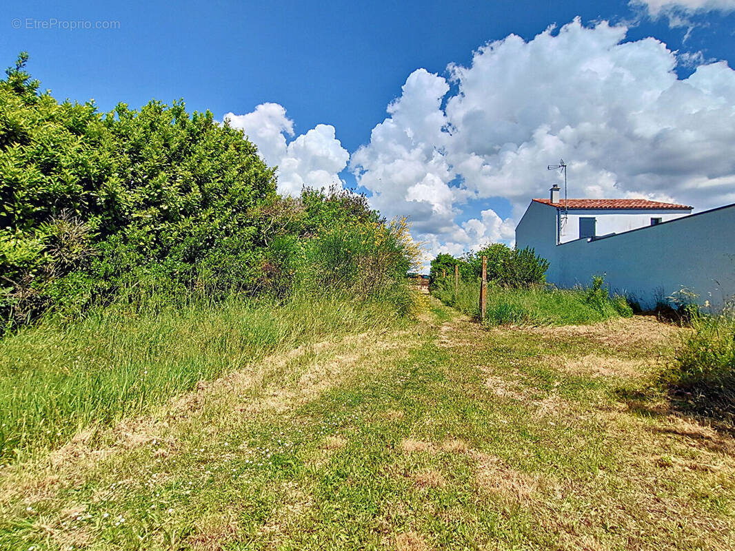 Terrain à ANGOULINS