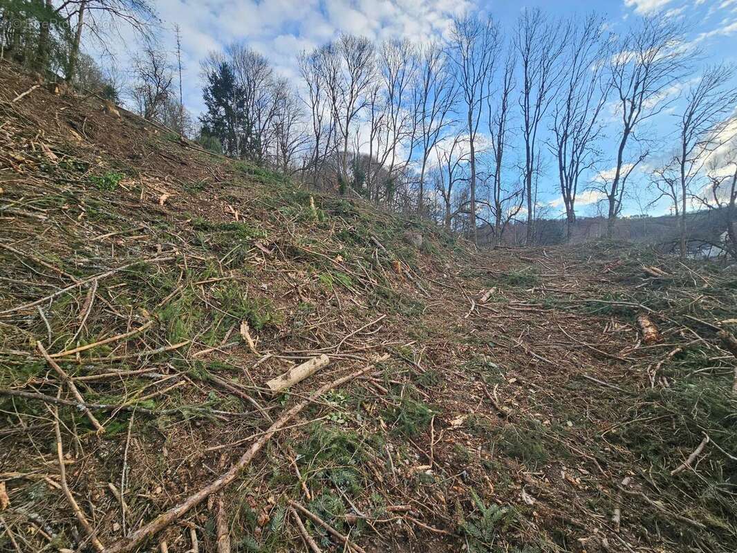 Photo 4 - Terrain à CHAUDES-AIGUES