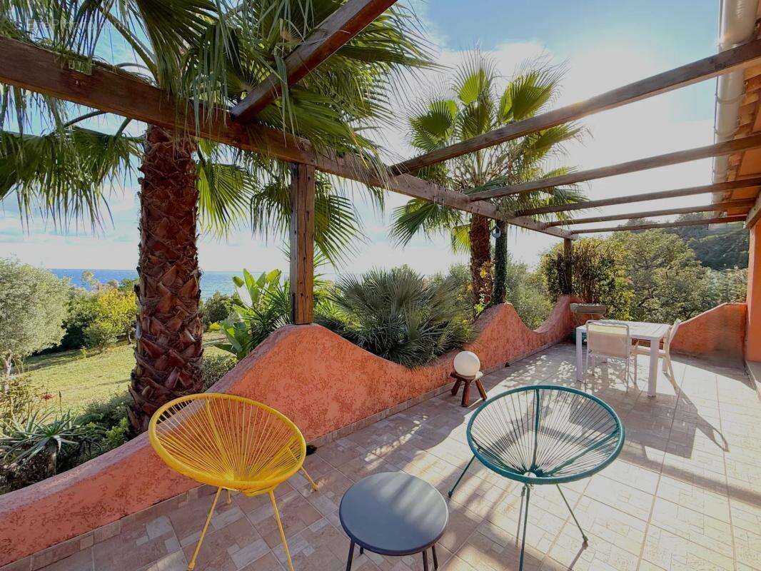 Maison à SARI-SOLENZARA