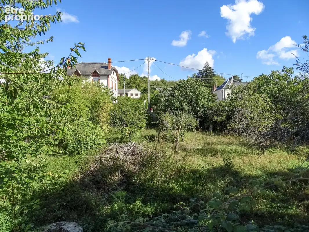 Terrain constructible à Mennetou sur Cher - photo 2