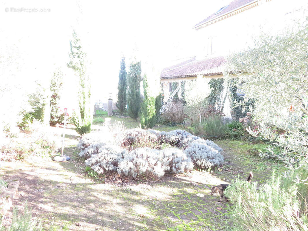 Maison à RABASTENS-DE-BIGORRE